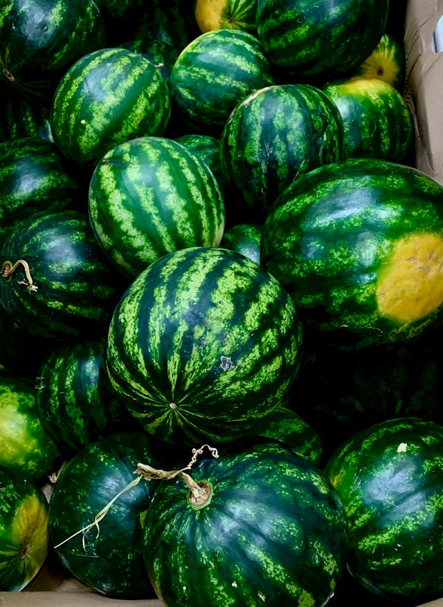 Melons